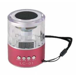 Mini hifi Speaker LS-01